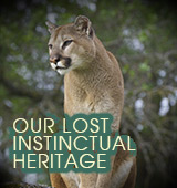 Our Lost Instinctual Heritage